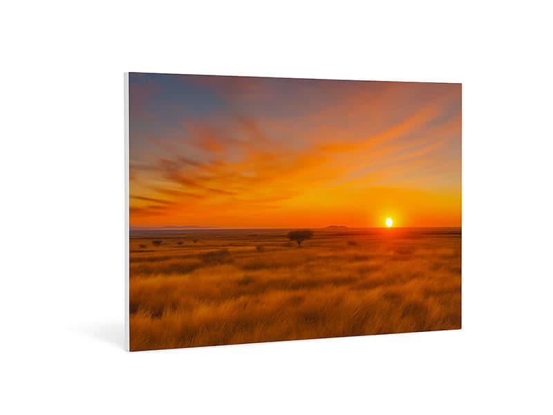 Stampa su pannello forex