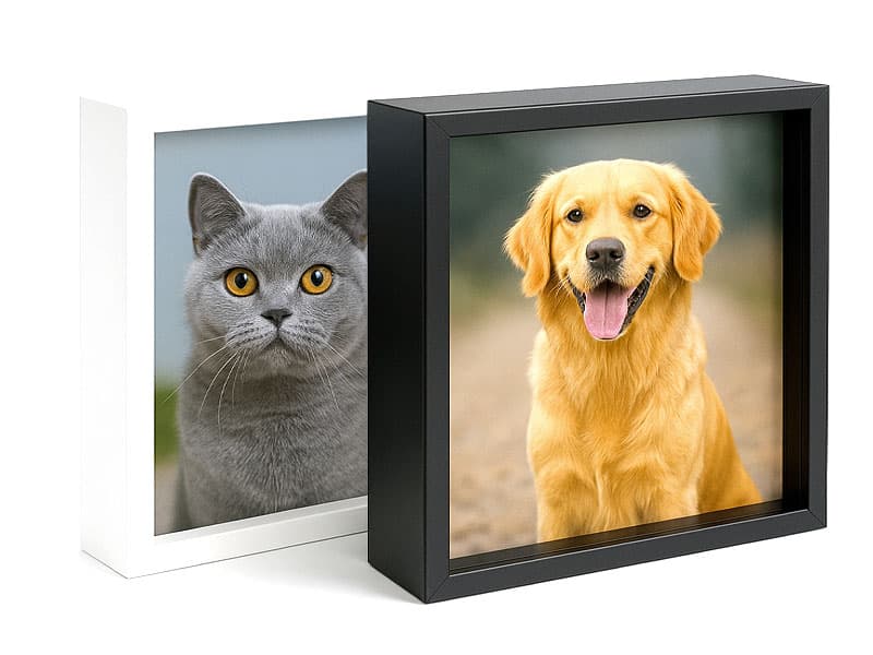 Stampa su plexiglass con cornice in legno