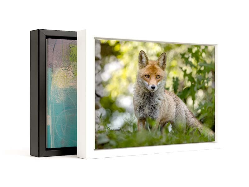 Tela americana rettangolare